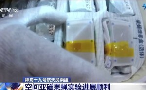 神十九航天员在轨忙啥？科研实验、设备维护两不误，还为舱门添防护