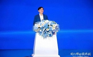 杨元庆谈中国企业出海：本地化创新，构建全球品牌的制胜法宝