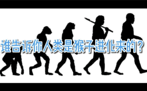 人类进化史揭秘：为何猴子没变成人，我们与它们有何不同？