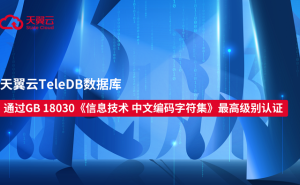 守护汉字 天翼云在行动 TeleDB数据库获GB 18030最高级别认证