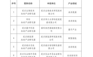 武汉紫东太初孵化器入选未来产业试点，助力AI大模型创新企业成长