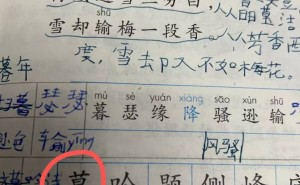 期末字词难关？让孩子轻松区分“暮、幕、慕”，这本书有妙招！