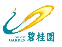 碧桂园116亿美元化债路遇阻，财团反对，数千条风险信息待解