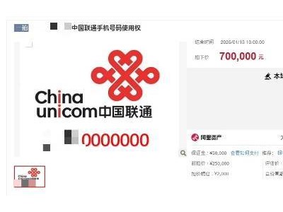 天价手机号！天津滨海法院拍出70万“0000000”号码