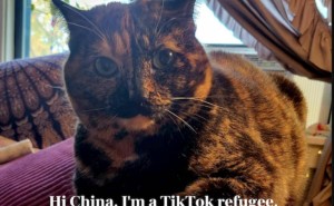 TikTok难民涌入小红书，网易游戏热情相迎，饿了么：饿了吗？