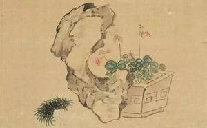 文人墨客心头好，菖蒲画作雅集赏析