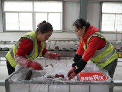 拼多多电商生态新活力：普惠就业超5500万，二次繁荣正当时！