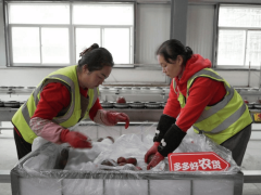 拼多多电商生态新观察：普惠就业模式下，超5500万就业岗位被激活