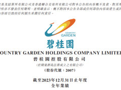 碧桂园延期年报终发布：净资产仍为正，股票将复牌