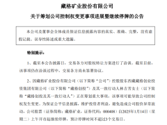 青海前首富肖永明：核心资产易手，是无奈还是智慧之选？