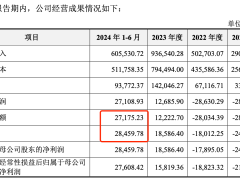 汇川技术拆分子公司联合动力IPO：业绩靠理想，数据现悬殊