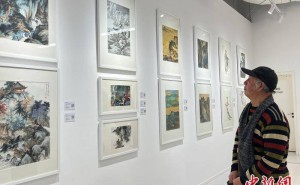 刘怀山中国画作品展在京开幕，泼彩山水展现传统文化魅力