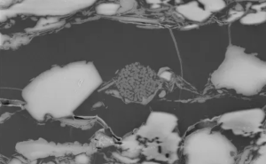 氩离子抛光技术：解锁石油地质微观世界新视角