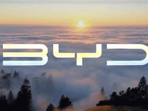 比亚迪重拳出击“黑公关”，15名举报人获奖，最高奖金达500万！