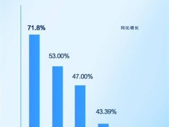 比亚迪2024年销量大增，新能源客车出口夺冠展现全球实力