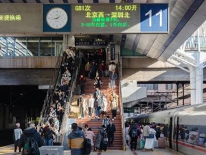 12306官方警示：抢票软件“加速包”是噱头，购票请走官方渠道