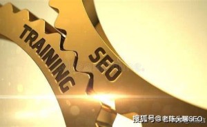 SEO新手宝典：掌握关键策略，让网站流量与曝光飙升