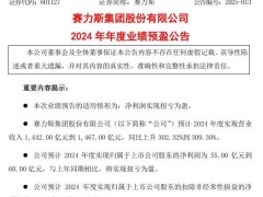 赛力斯2024年营收预计大爆发，净利润扭亏为盈至55-60亿
