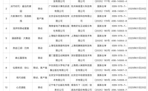 2025年进口网游审批名单揭晓，13款游戏成功过关