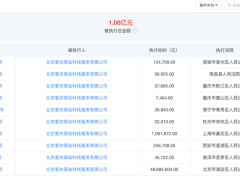 2025年初，多家持牌支付机构频现被执行名单，支付行业风云再起？
