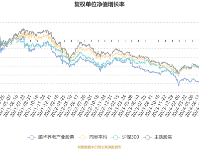鹏华养老产业股票2024年Q4亏损超四千万，净值下滑9.24%如何应对？