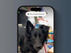 苹果iOS 18.3为iPhone 16带来视觉智能新体验：海报日期秒变日历，动植物实时识别