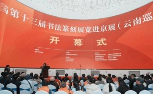全国第十三届书法篆刻展云南巡展开幕，275件佳作共赏书法艺术之美！
