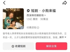 短剧市场新风向：国企引领订阅制，多元化变现格局初现