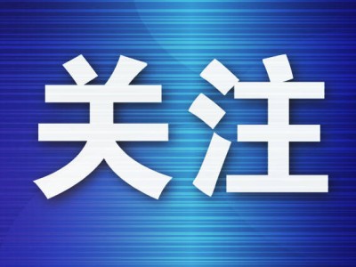 大连年货大集：巾帼创业品牌齐亮相，激活消费“她力量”