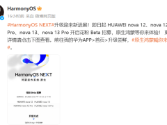 华为HarmonyOS NEXT Beta招募开启，nova 12/13系列率先体验原生鸿蒙智慧