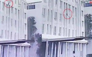 泰国肥猫高空坠落砸碎车窗，奇迹生还！养猫封窗有多重要？