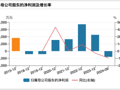 美利信业绩滑坡预警：2024年预亏超亿，海外并购梦碎何去何从？
