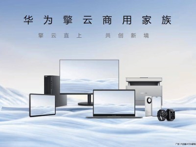 华为擎云2024成绩单：服务客户超10万，四大行业布局成效显著