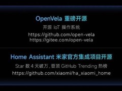 小米2024开源大动作：HA米家官方集成与Xiaomi Vela重磅登场