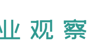国际学校招生战升温：密集开放日背后，教育焦虑何解？