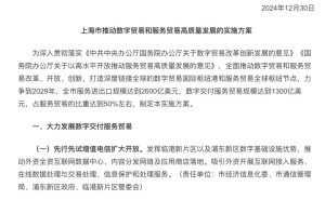 上海新方案：外资全资IDC与应用商店将落地，数字贸易迎新机遇