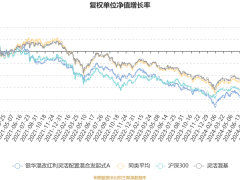银华混改红利A基金2024Q4业绩揭晓：利润43万，净值增长稳健