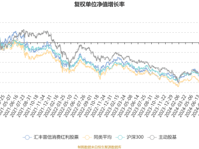 汇丰晋信消费红利股票2024Q4业绩揭晓：利润微增，净值涨幅平稳