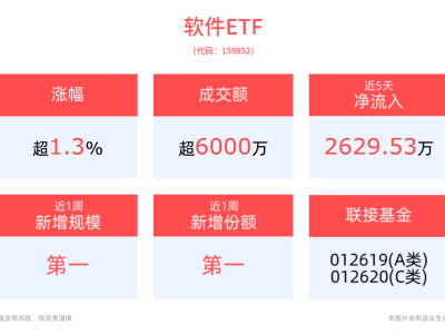 软件ETF领涨，用友网络涨停！AI芯片国产化加速，投资机遇何在？