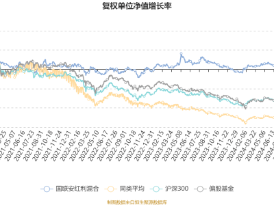 国联安红利混合基金2024Q4业绩揭晓：利润272万，净值增2.49%