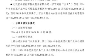 北汽蓝谷2024年预计净亏损扩大至65亿-69.5亿，新能源车价格战影响几何？