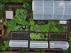 英国小伙“一米菜园”成网红，不卖菜却靠知识变现赚百万