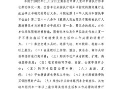 极越汽车背后公司法人夏一平因劳动争议被限高消费