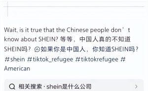 SHEIN海外走红，中国消费者却陌生？跨境电商的双向迷雾