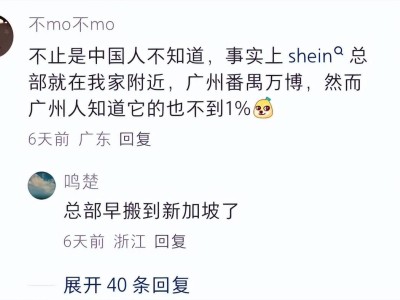 SHEIN海外走红，中国人为何却感到陌生？