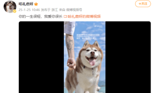 网红哈士奇“哈礼鹿”离世，主人深情告别：待此生尽，再寻君影
