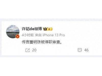 造谣董明珠，五人遭行政处罚！格力官方通报：公安机关已立案
