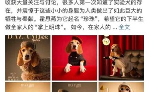 实验犬“珍珠”获和平精神奖，杜江霍思燕爱心行为引关注