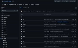 Linux内核膨胀至4000万行代码，未来如何保持精炼高效？