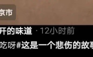 老爸照顾猫咪竟闹出大笑话，网友看到照片后哭笑不得：这是亲爹干的事儿？